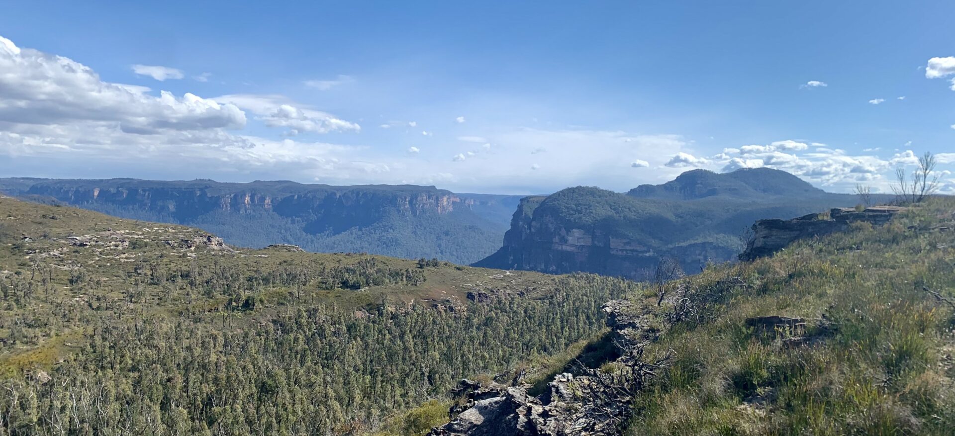 A stunning view of the Blue Mountains on a sunny day. Amelior Insulation's insulation installers in the Blue Mountains can improve the energy efficiency of homes.