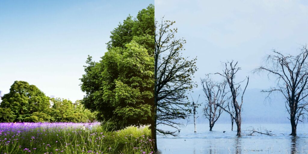 The left side of the image shows a lush, green, flowering landscape while the right shows a flooded, dead one, the result of global boiling.