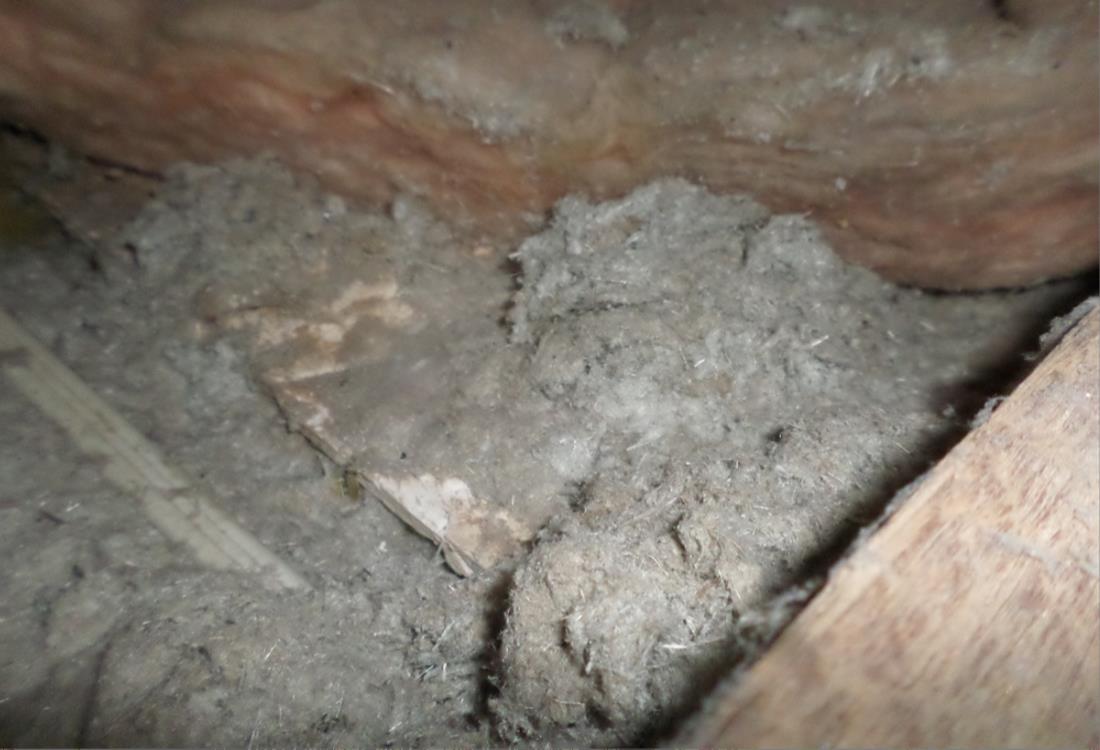 Loose-fill asbestos insulation in an Australian roof space.