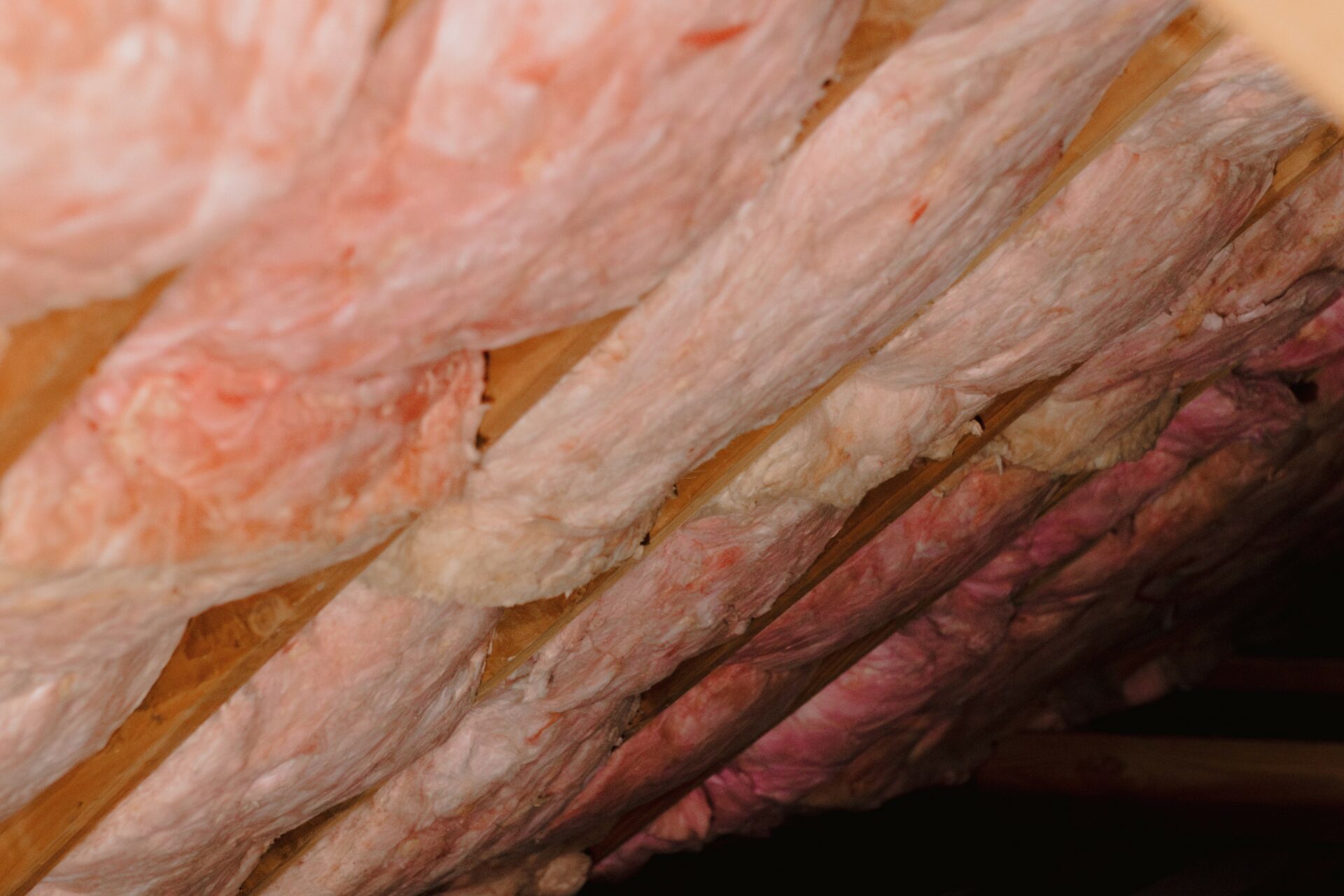 Pink batts installed in a roof during the Pink Batts Scheme.